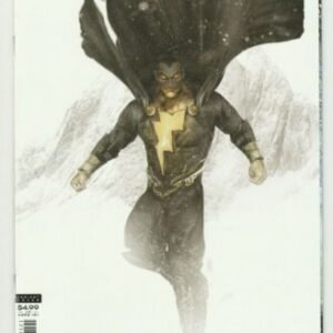 Black Adam Endless Winter Special #1 Variant Cover