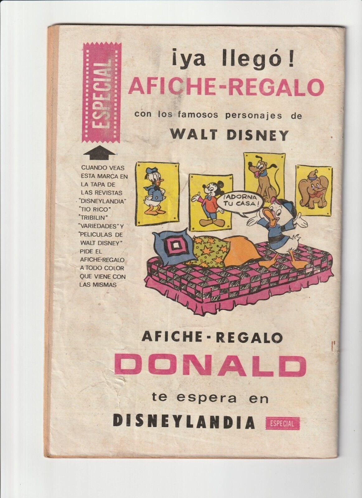 El Oso Yogui #43 - Image 2
